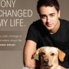 Why buy when you can adopt?