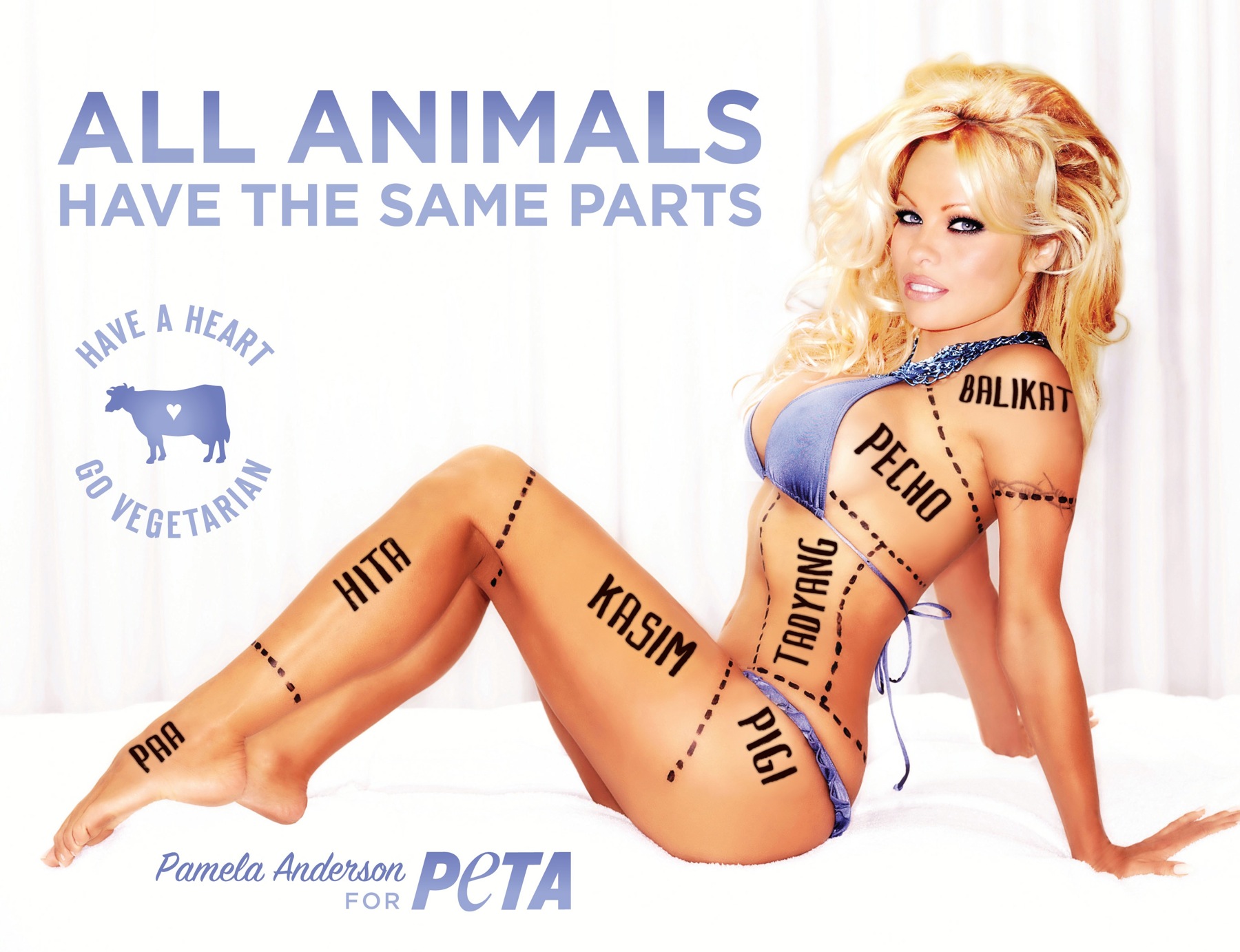 Pamela Anderson China Southern Airlines animals transportation